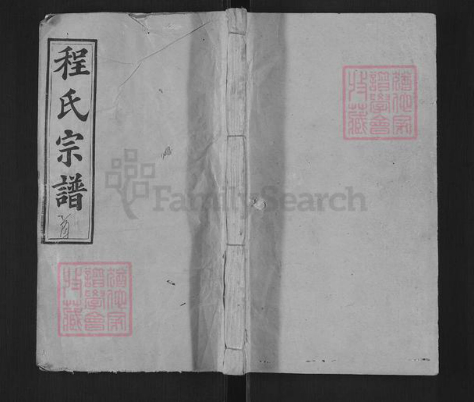 湖北省黄冈市罗田县平湖乡程氏明伦堂族谱-义水程氏宗谱.pdf电子版插图