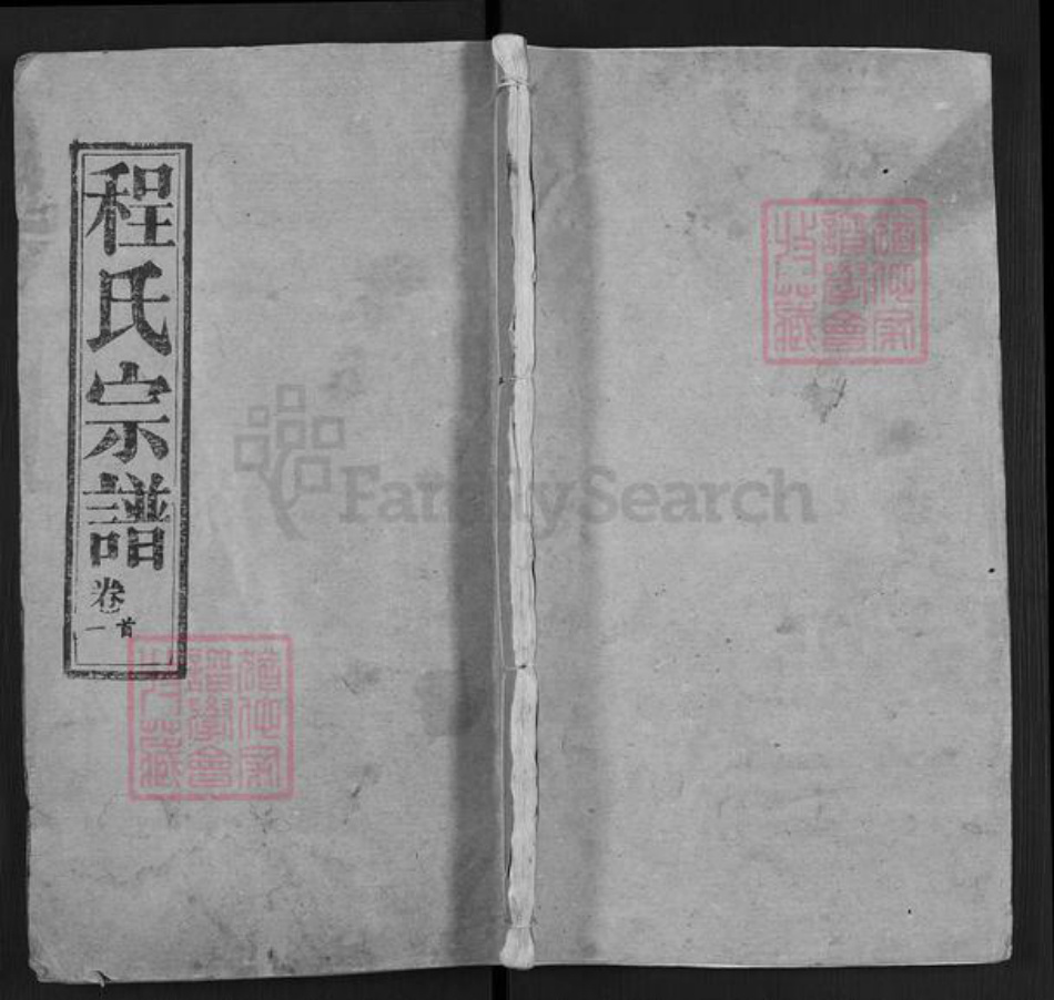 湖北省武汉市武昌区程氏瑞雪堂族谱-程氏宗谱.pdf电子版插图