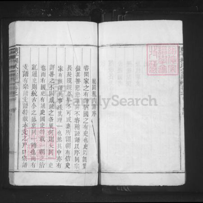 江西省景德镇市乐平市塔前镇程氏族谱-广平程氏宗谱.pdf电子版插图3