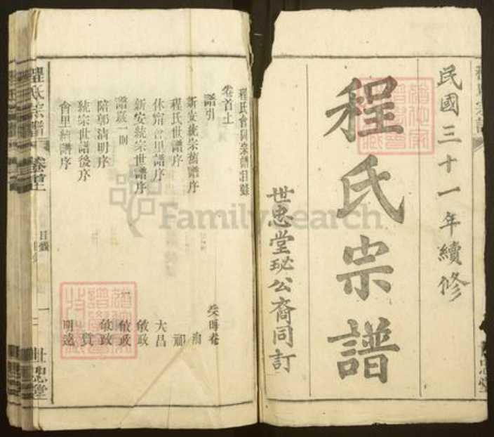 安徽省安庆市岳西县天堂镇程氏世忠堂族谱-潜岳程氏宗谱.珌公.pdf电子版插图1