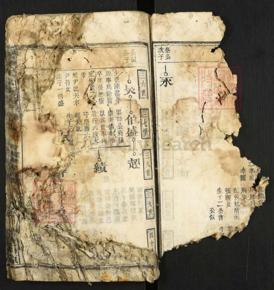 安徽省安庆市太湖县程氏族谱-程仲文公支谱.pdf电子版插图2