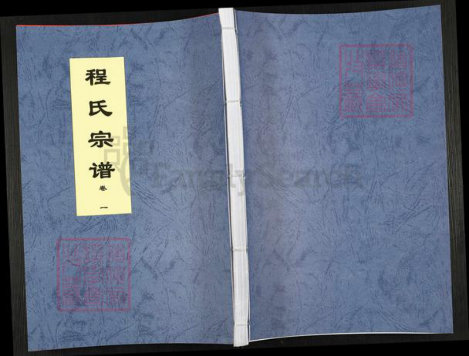 安徽省合肥市庐江县程氏四箴堂族谱-程氏宗谱.pdf电子版插图