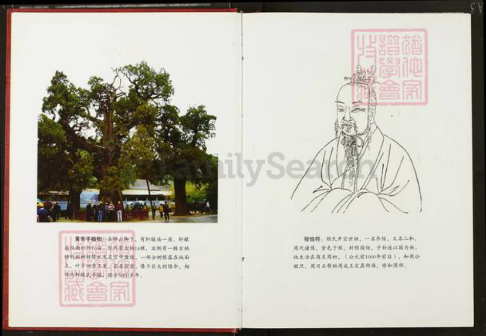 湖北省武汉市新洲区程氏四箴堂族谱-程氏宗谱.pdf电子版插图4