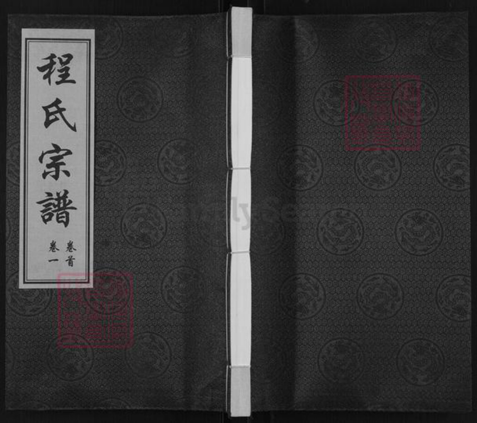 江苏省常州市武进县程氏光裕堂族谱-程氏宗谱.pdf电子版插图