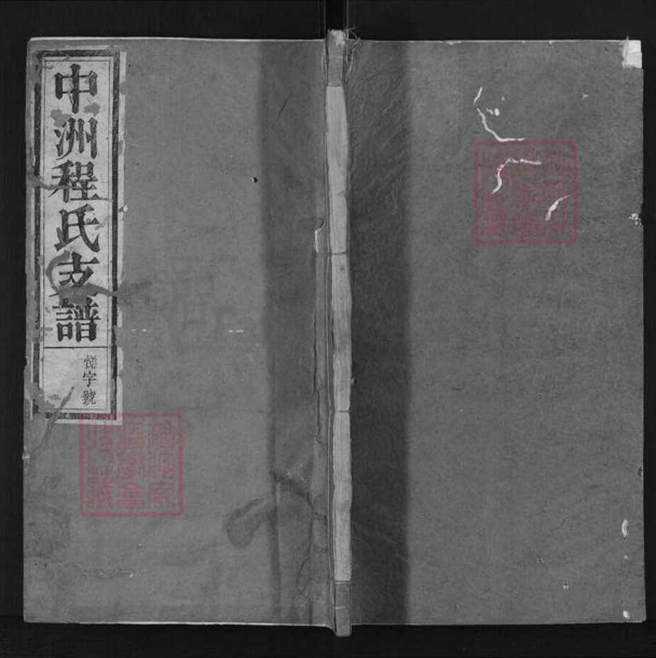 浙江省杭州市淳安县县中洲镇程氏族谱-中洲程氏支谱.pdf电子版插图
