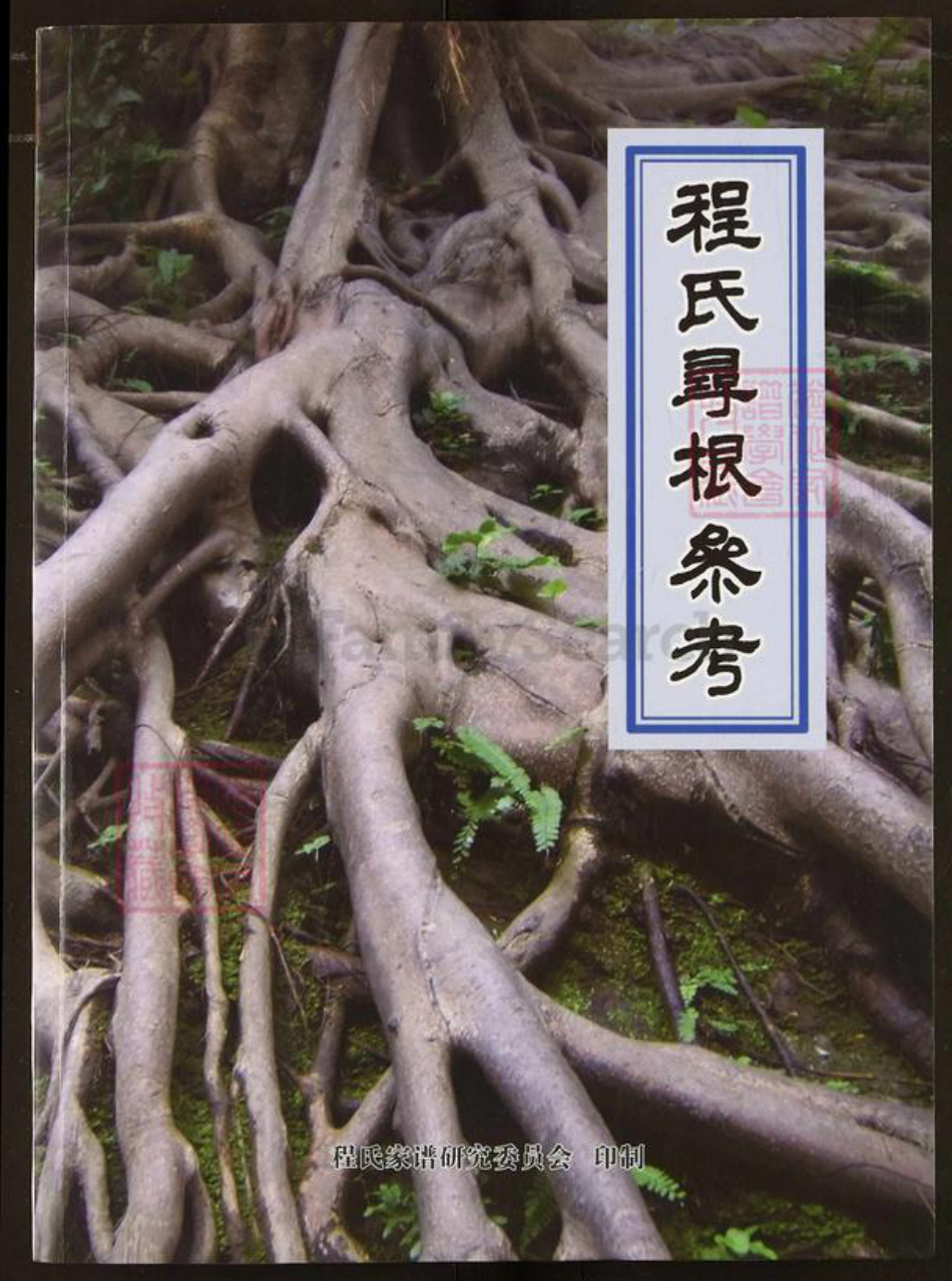 河南省洛阳市新安县程氏延庆堂族谱-程氏寻根参考.pdf电子版插图