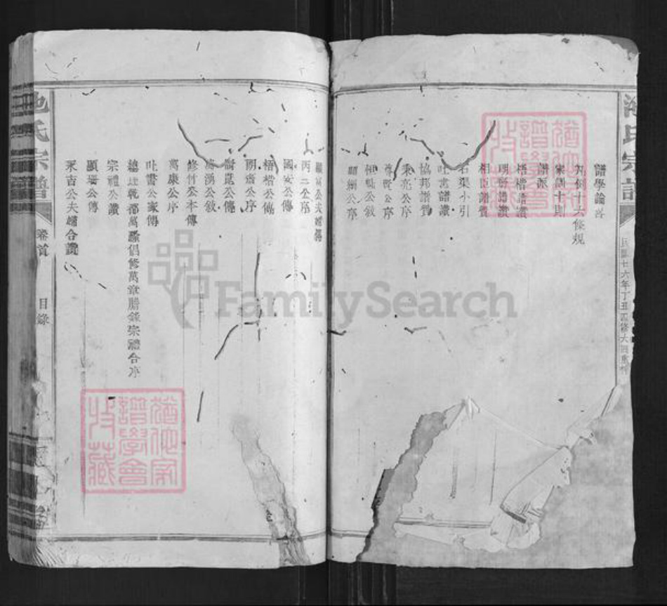 江西省宜春市靖安县中源乡池氏正本堂族谱-池氏宗谱.pdf电子版插图2
