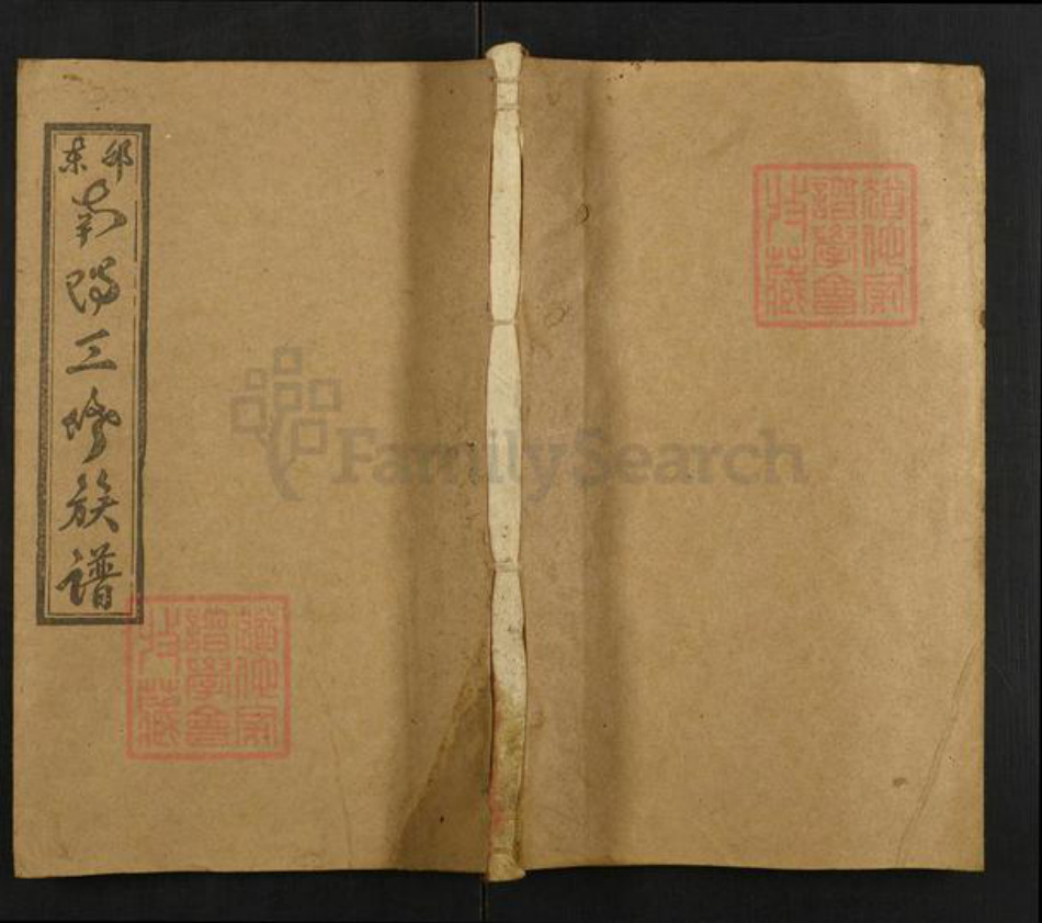 湖南省邵阳市邵东仇氏栖凤堂族谱-邵东仇氏三修族谱.pdf电子版插图