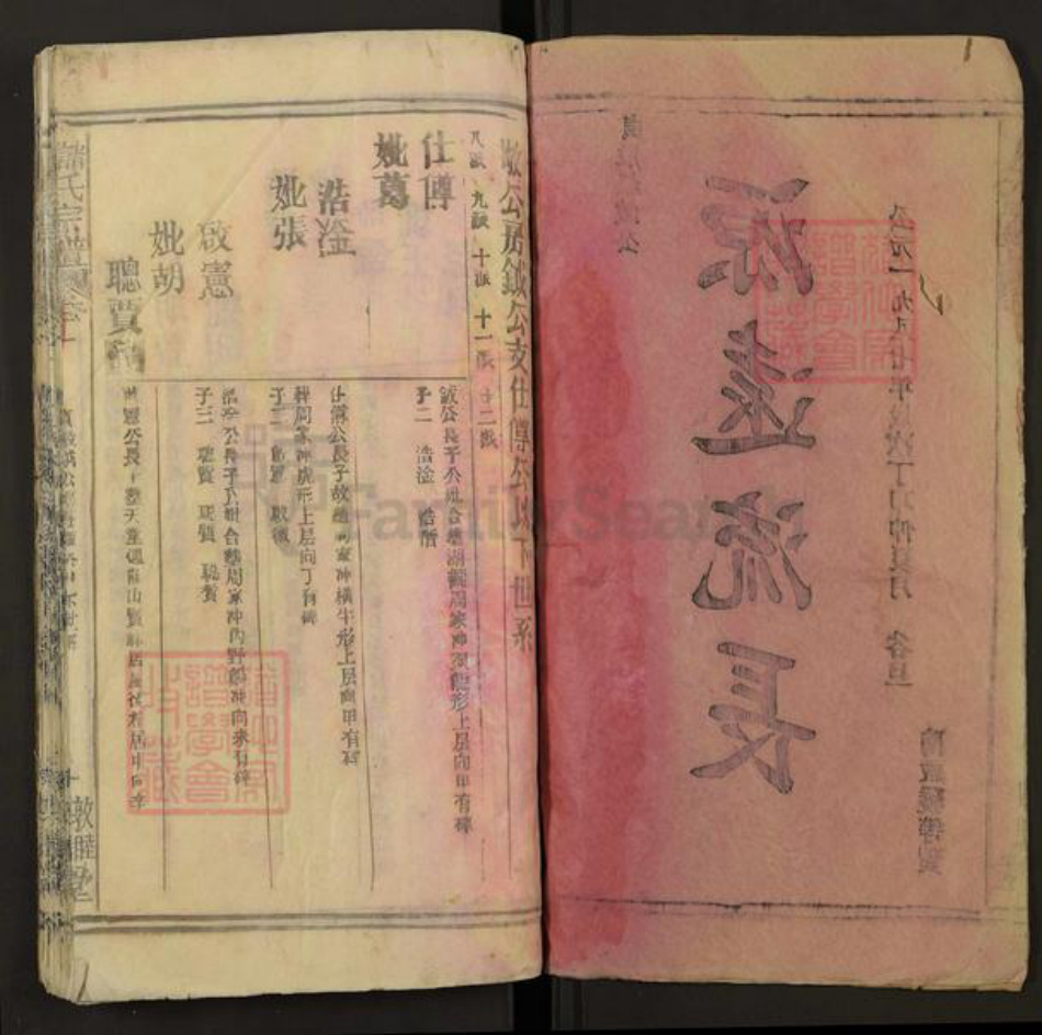 安徽省安庆市潜山市槎水镇储氏四德堂族谱-储氏宗谱.pdf电子版插图2