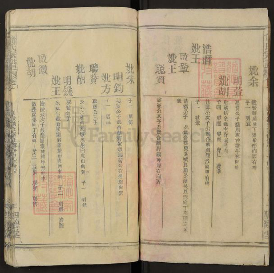 安徽省安庆市潜山市槎水镇储氏四德堂族谱-储氏宗谱.pdf电子版插图3