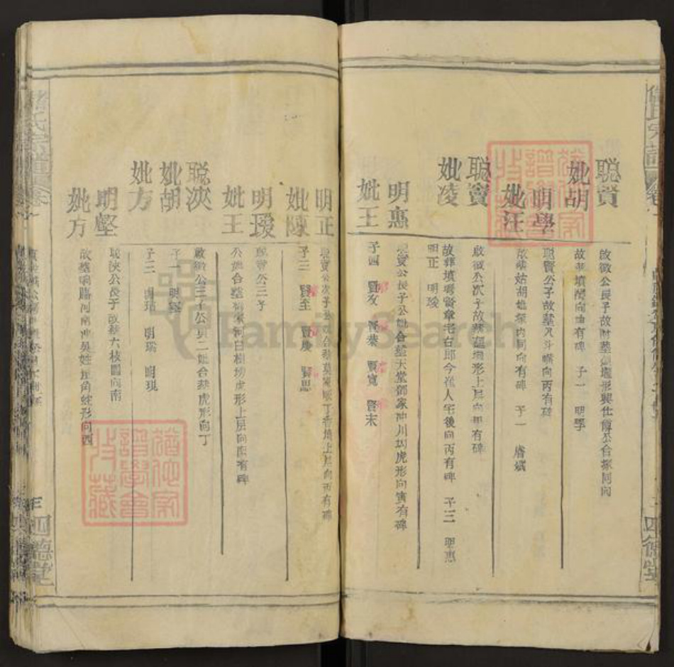 安徽省安庆市潜山市槎水镇储氏四德堂族谱-储氏宗谱.pdf电子版插图4