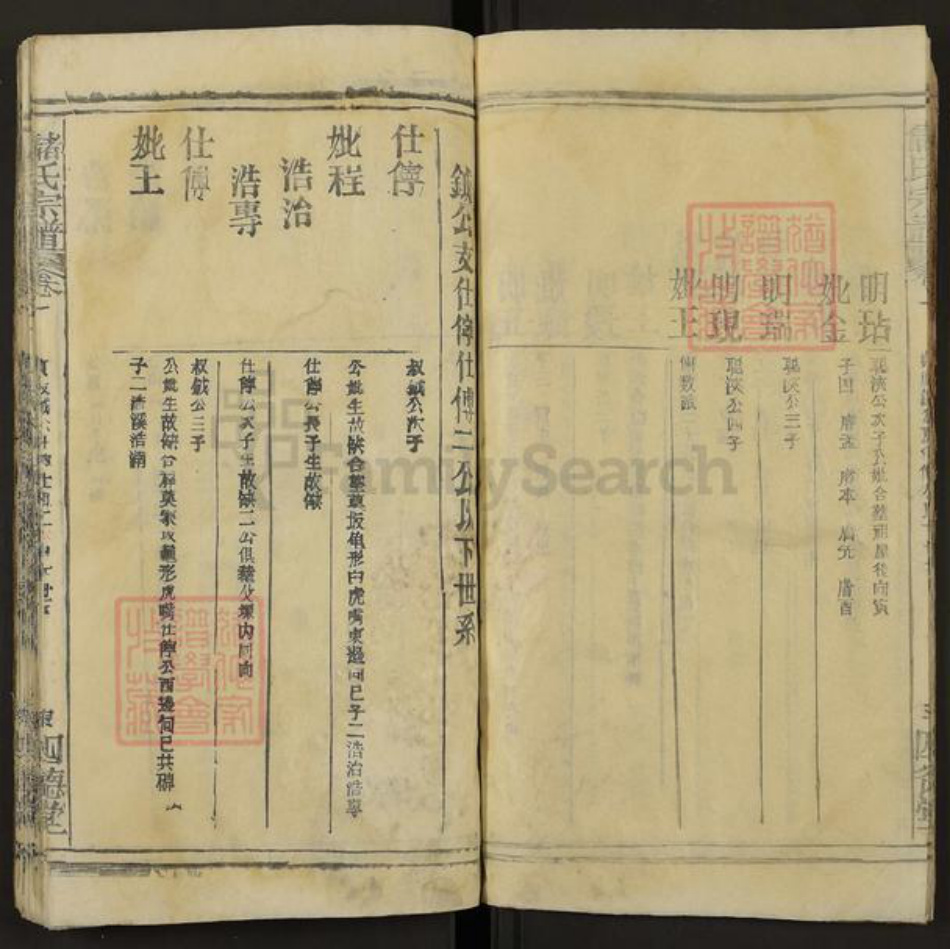 安徽省安庆市潜山市槎水镇储氏四德堂族谱-储氏宗谱.pdf电子版插图5