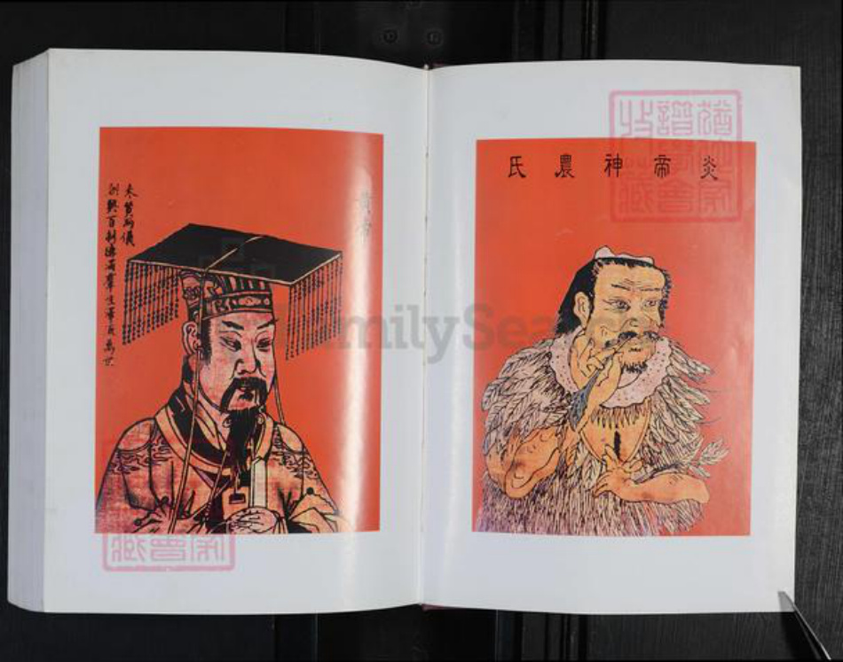 河南省周口市项城市新桥镇崔氏尚义堂族谱-项城崔氏族谱.pdf电子版插图2