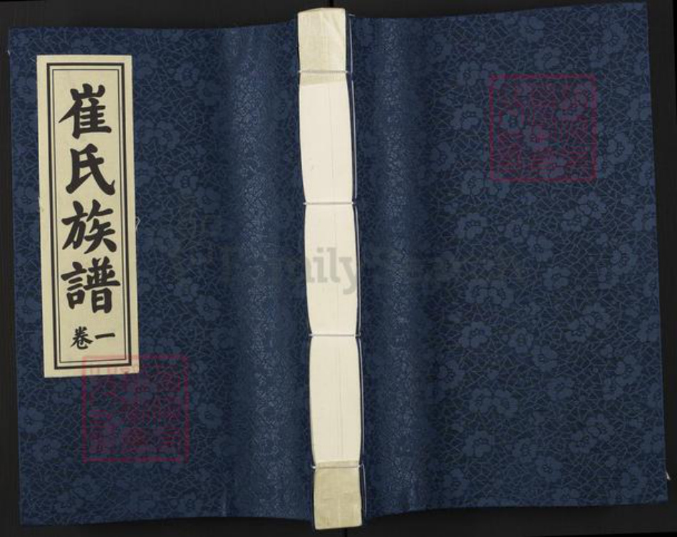 江苏省徐州市沛县崔氏三㦸堂族谱-崔氏族谱.pdf电子版插图
