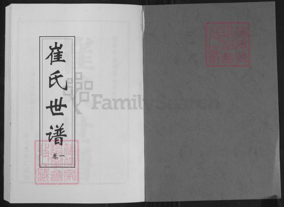 山东省淄博市桓台县唐山镇崔氏族谱-崔氏世谱.pdf电子版插图1
