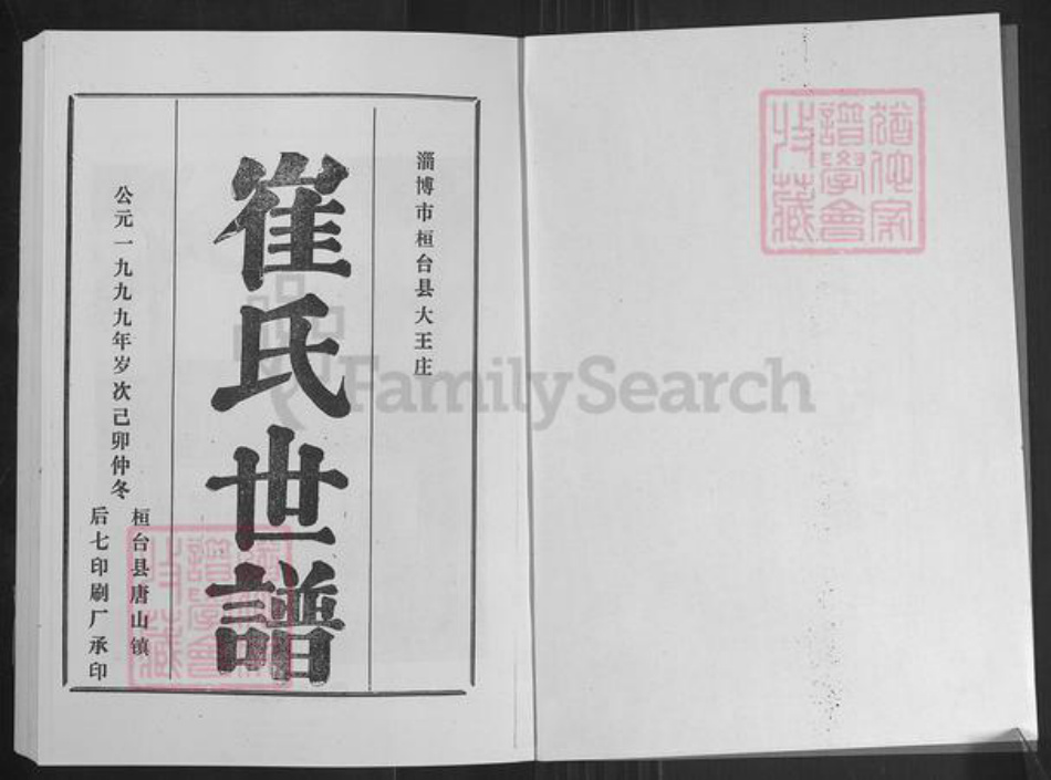 山东省淄博市桓台县唐山镇崔氏族谱-崔氏世谱.pdf电子版插图2