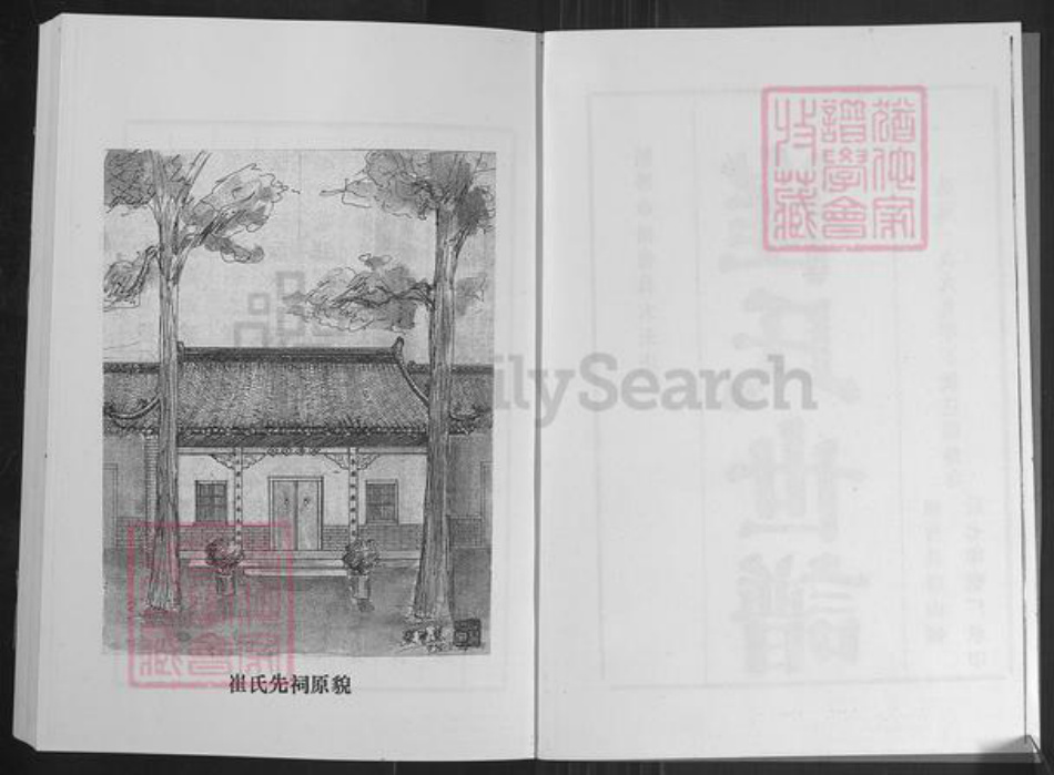 山东省淄博市桓台县唐山镇崔氏族谱-崔氏世谱.pdf电子版插图3