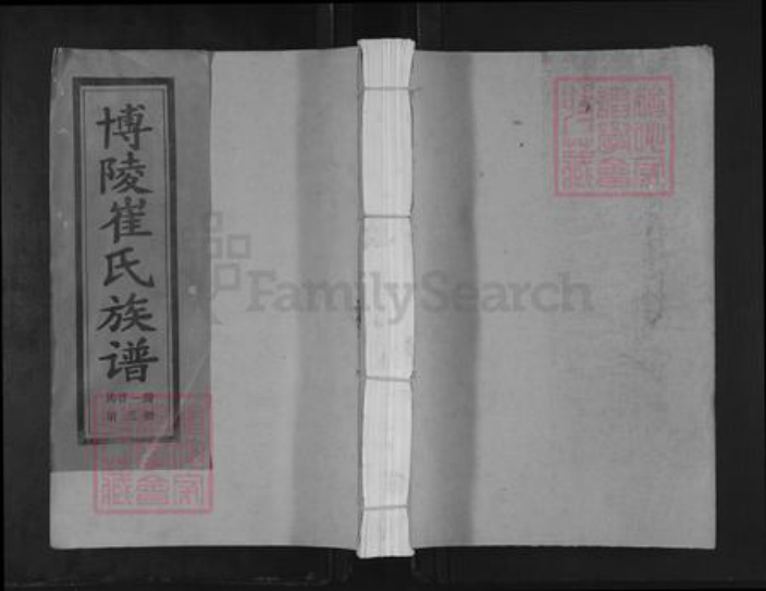江西省赣州市宁都县黄石镇崔氏德星堂族谱-博陵白鹿江崔氏族谱.pdf电子版插图