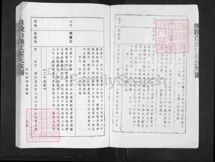 江西省赣州市宁都县黄石镇崔氏德星堂族谱-博陵白鹿江崔氏族谱.pdf电子版插图3