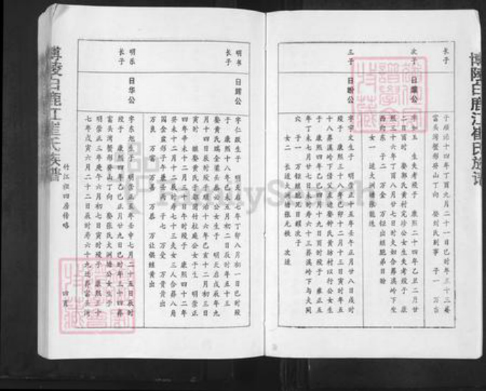 江西省赣州市宁都县黄石镇崔氏德星堂族谱-博陵白鹿江崔氏族谱.pdf电子版插图4