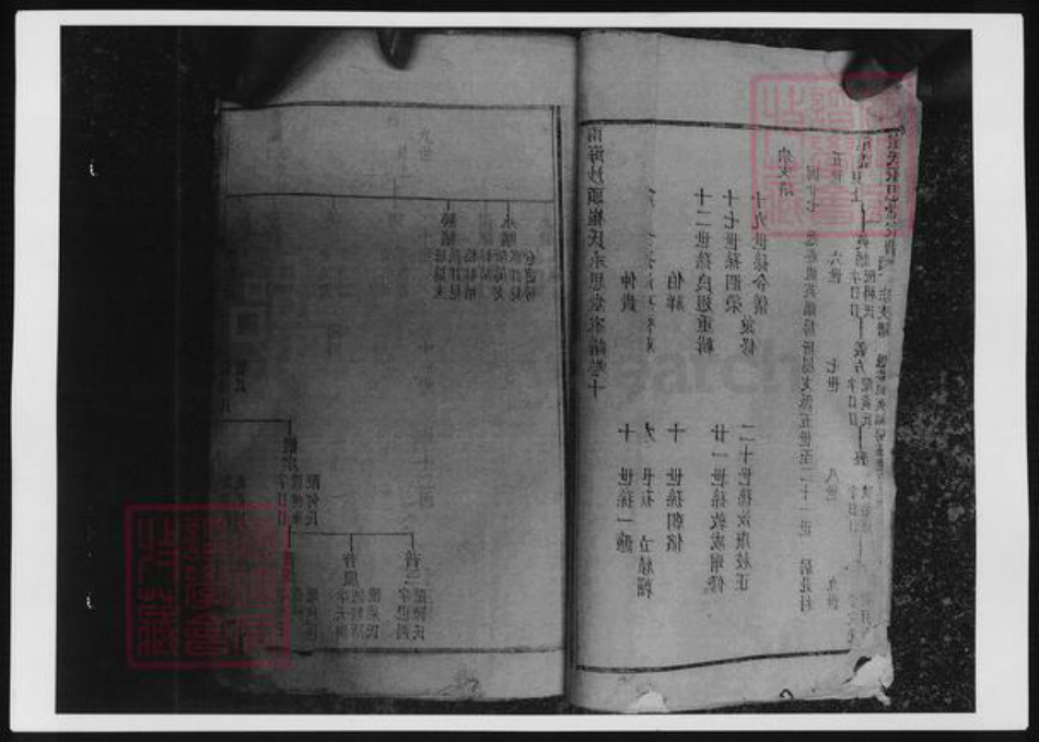 广东省佛山市南海区崔氏族谱-南海沙头崔氏永思堂家谱.pdf电子版插图5
