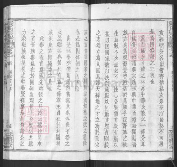 湖北省黄冈市戴氏注礼堂族谱-戴氏宗谱.pdf电子版插图4