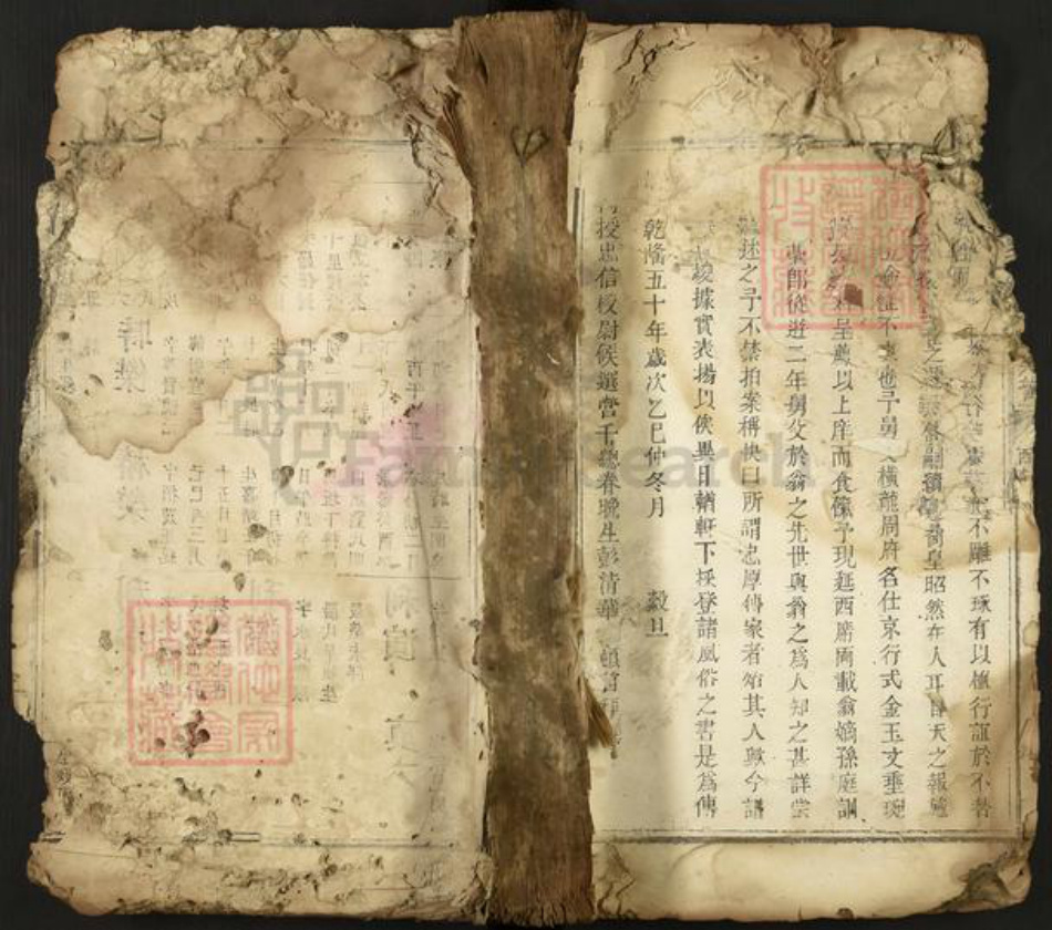 江西省吉安市安福县戴氏中和堂族谱-城南十里楼戴氏族谱.pdf电子版插图