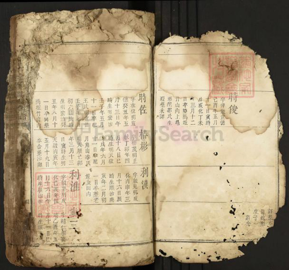 江西省吉安市安福县戴氏中和堂族谱-城南十里楼戴氏族谱.pdf电子版插图3
