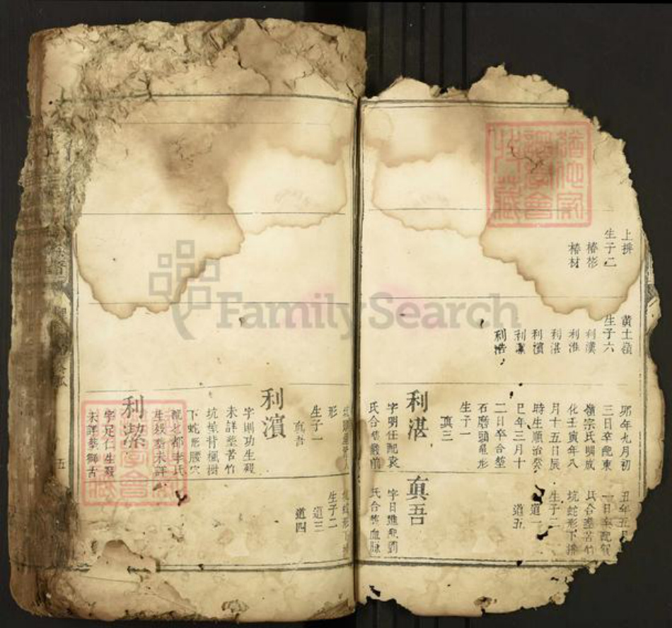 江西省吉安市安福县戴氏中和堂族谱-城南十里楼戴氏族谱.pdf电子版插图4