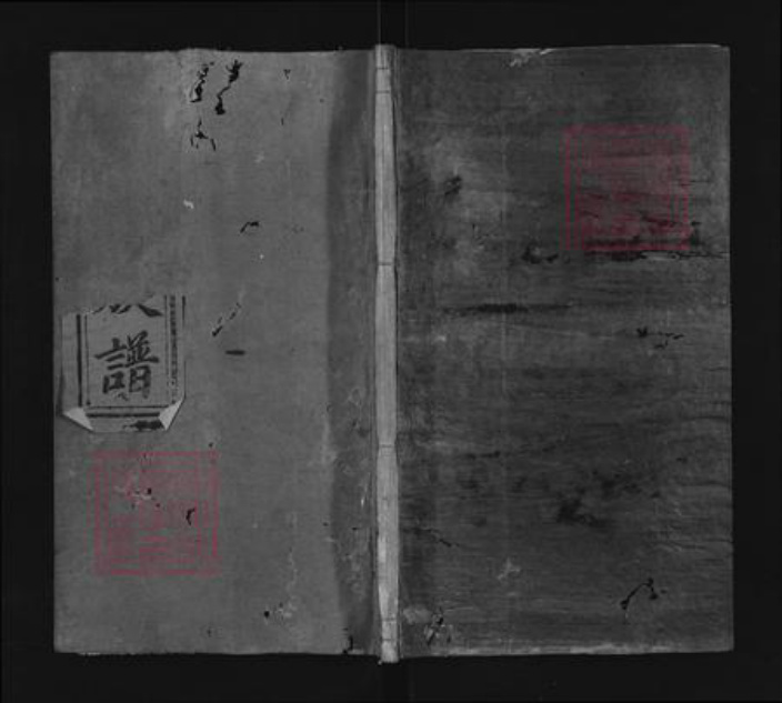 福建省三明市宁化县石壁镇戴氏谯国堂族谱-戴氏族谱.pdf电子版插图