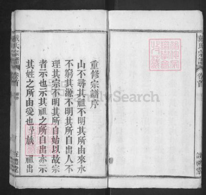 安徽省安庆市潜山市戴氏注礼堂族谱-戴氏宗谱.pdf电子版插图4