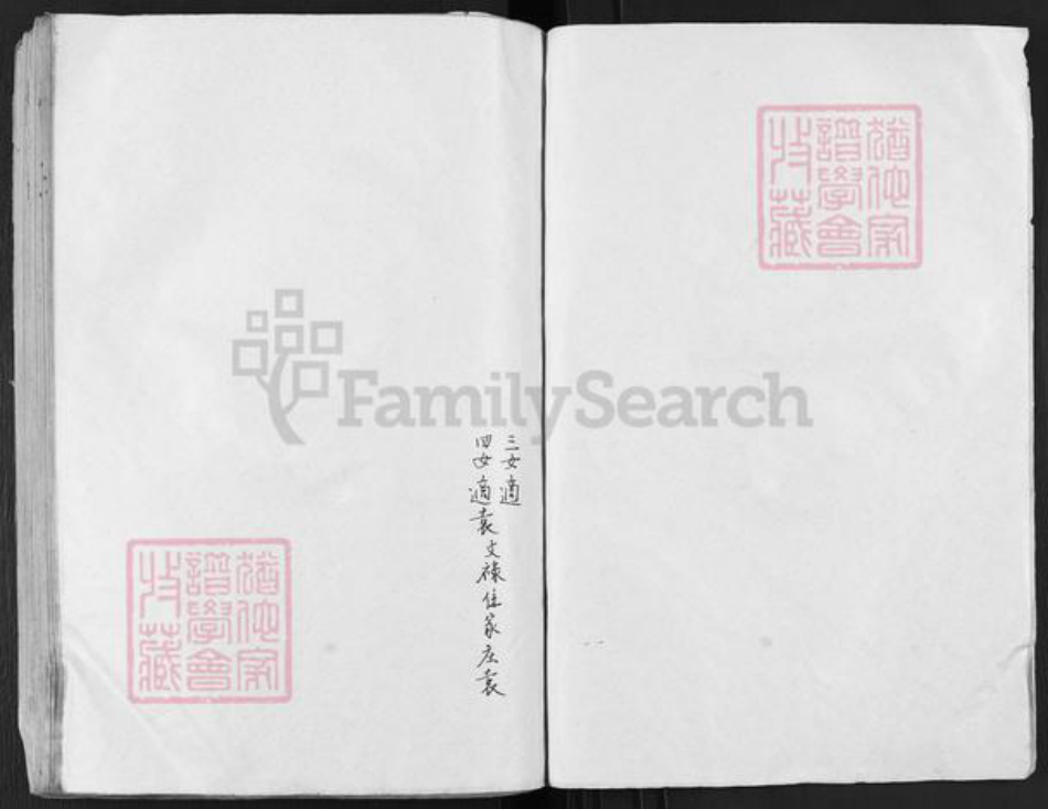 江苏省盐城市建湖县恒济镇戴氏注礼堂族谱-戴氏宗谱.pdf电子版插图3