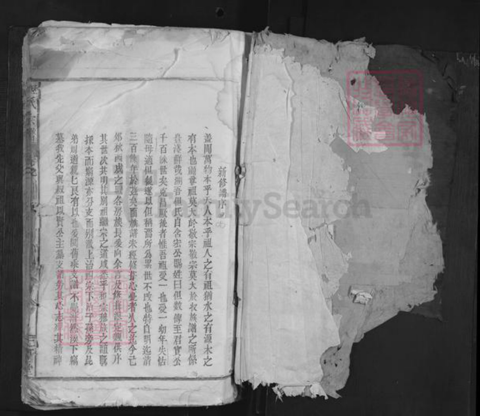 浙江省金华市但氏二留堂族谱-但氏宗谱.pdf电子版插图1