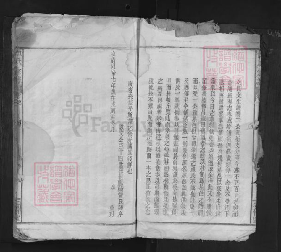 浙江省金华市但氏二留堂族谱-但氏宗谱.pdf电子版插图4