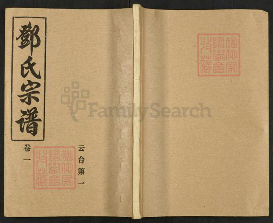河南省南阳市新野县邓氏族谱-邓氏宗谱.pdf电子版插图