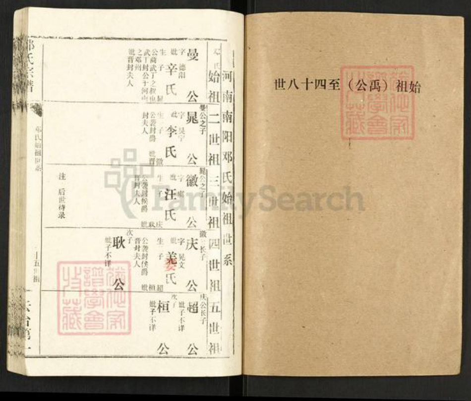河南省南阳市新野县邓氏族谱-邓氏宗谱.pdf电子版插图1