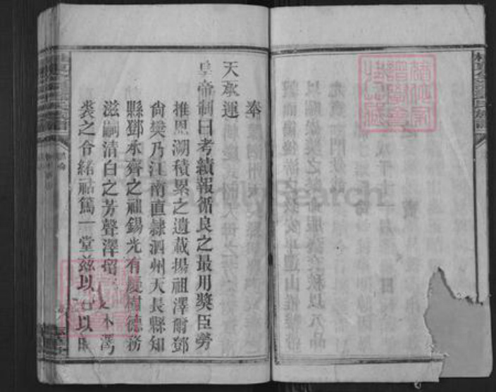 湖南省衡阳市衡阳县金溪镇邓氏志华堂族谱-桂东全溪邓氏族谱.pdf电子版插图5