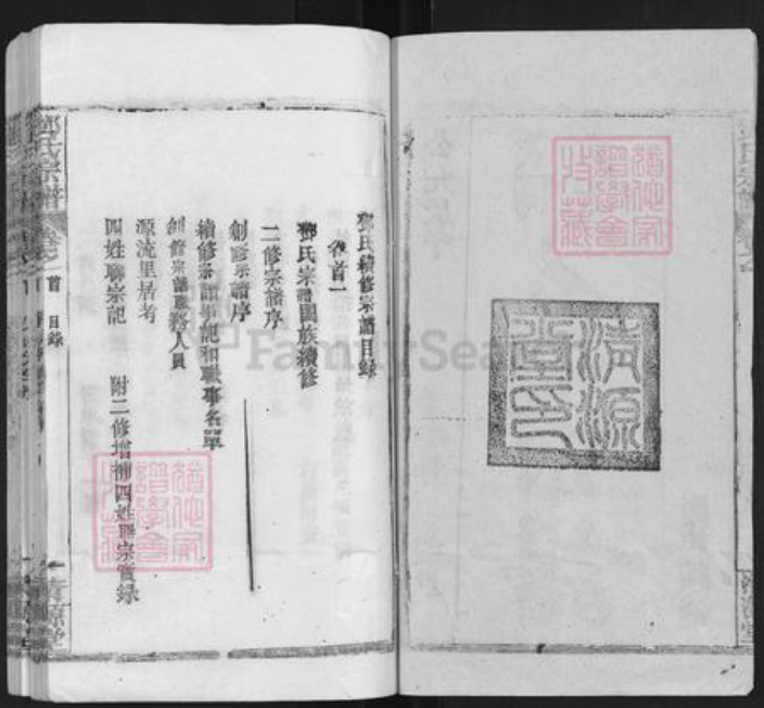 湖北省武汉市新洲区邓氏清源堂族谱-邓氏宗谱.pdf电子版插图2