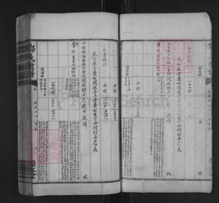 湖南省衡阳市耒阳市耒阳邓氏崇本堂族谱-邓氏续谱.pdf电子版插图5