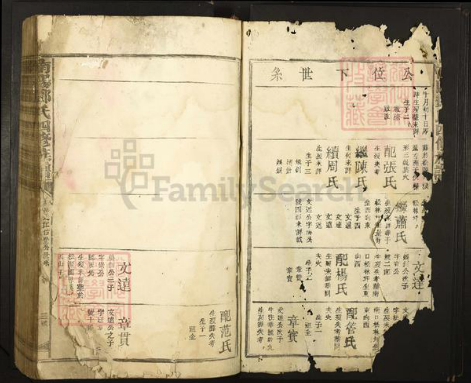 河南省南阳市邓氏族谱-南阳邓氏四修族谱.pdf电子版插图2