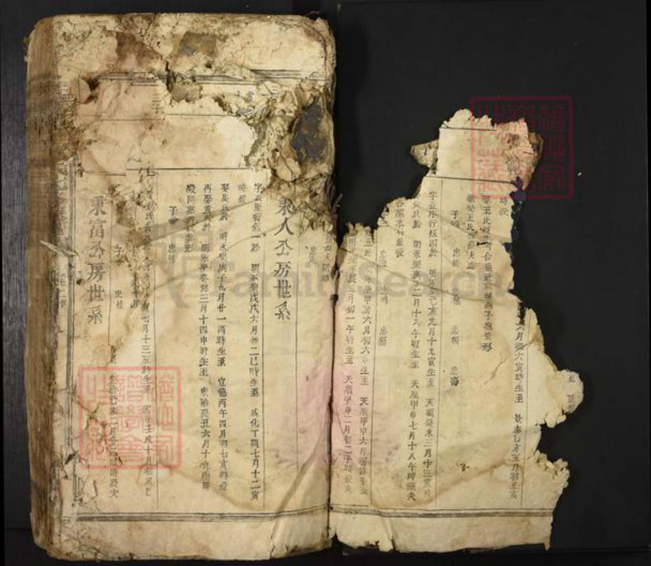 江西省吉安市新干县邓氏族谱-扶乐塘邉邓氏七修族谱.pdf电子版插图4