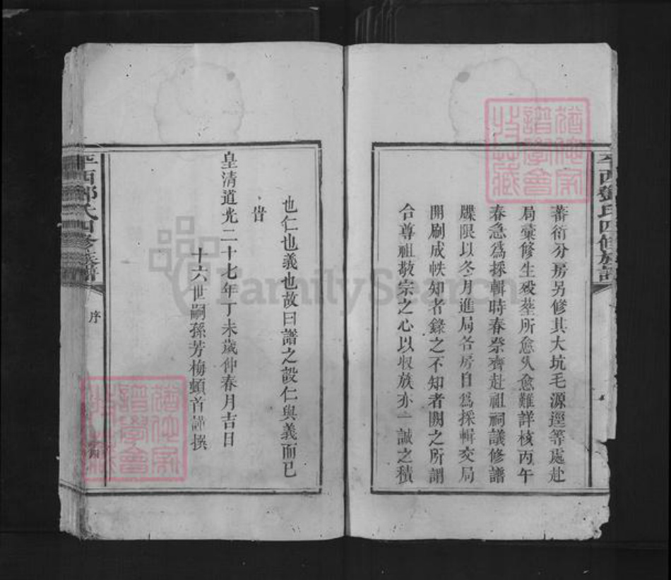 江西省抚州市广昌县甘竹镇邓氏族谱-平西邓氏四修族谱.pdf电子版插图4