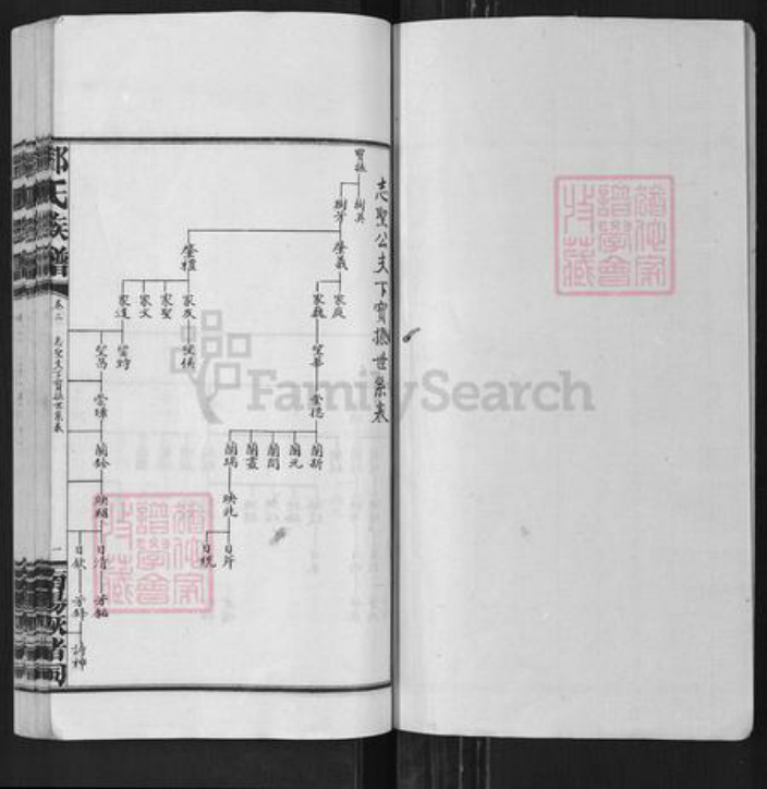 湖南省长沙市浏阳市沙市镇邓氏族谱-邓氏族谱.pdf电子版插图1
