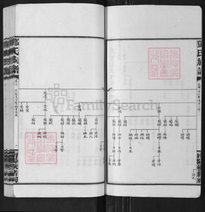 湖南省长沙市浏阳市沙市镇邓氏族谱-邓氏族谱.pdf电子版插图2