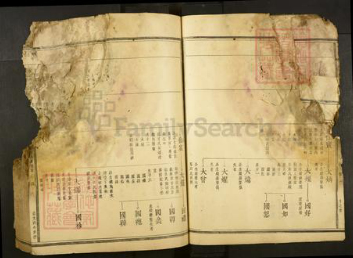 浙江省湖州安吉县邓氏族谱-楮林邓氏宗谱.pdf电子版插图4