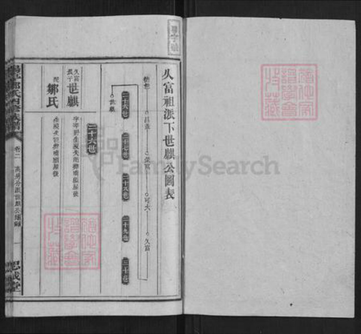 湖南省衡阳市邓氏族谱-阳亭邓氏四修族谱.pdf电子版插图1