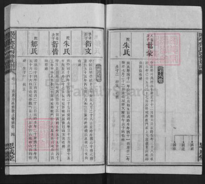 湖南省衡阳市邓氏族谱-阳亭邓氏四修族谱.pdf电子版插图4
