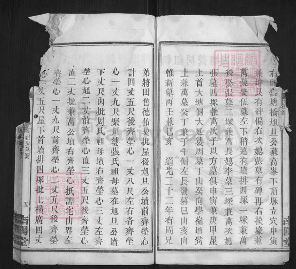 湖南省长沙市邓氏族谱-邓氏族谱.pdf电子版插图5