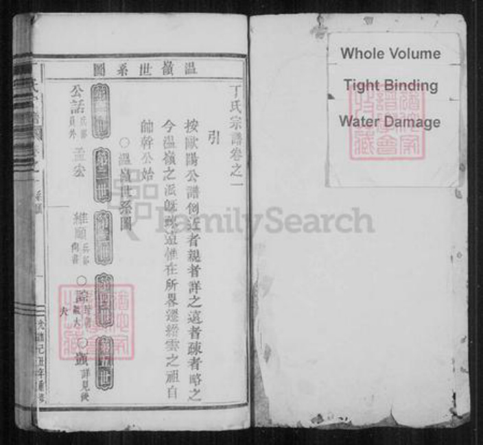 浙江省台州市温岭市温岭丁氏族谱-[浙江缙云]治前丁氏宗谱.pdf电子版插图1