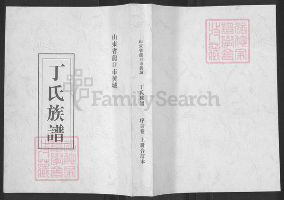 山东省烟台市龙口市丁氏族谱-丁氏族谱.pdf电子版插图